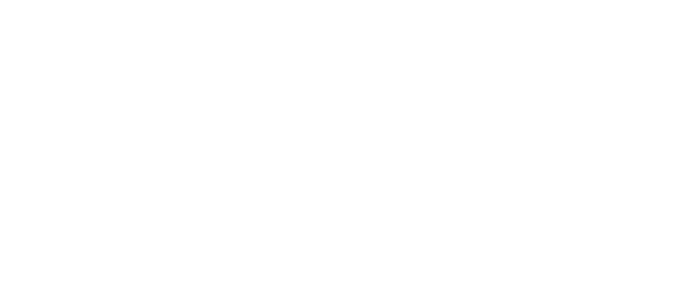 Duke logo